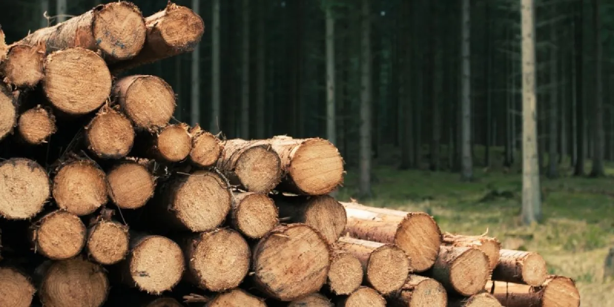 Stockage du bois de chauffage : quelle durée ?