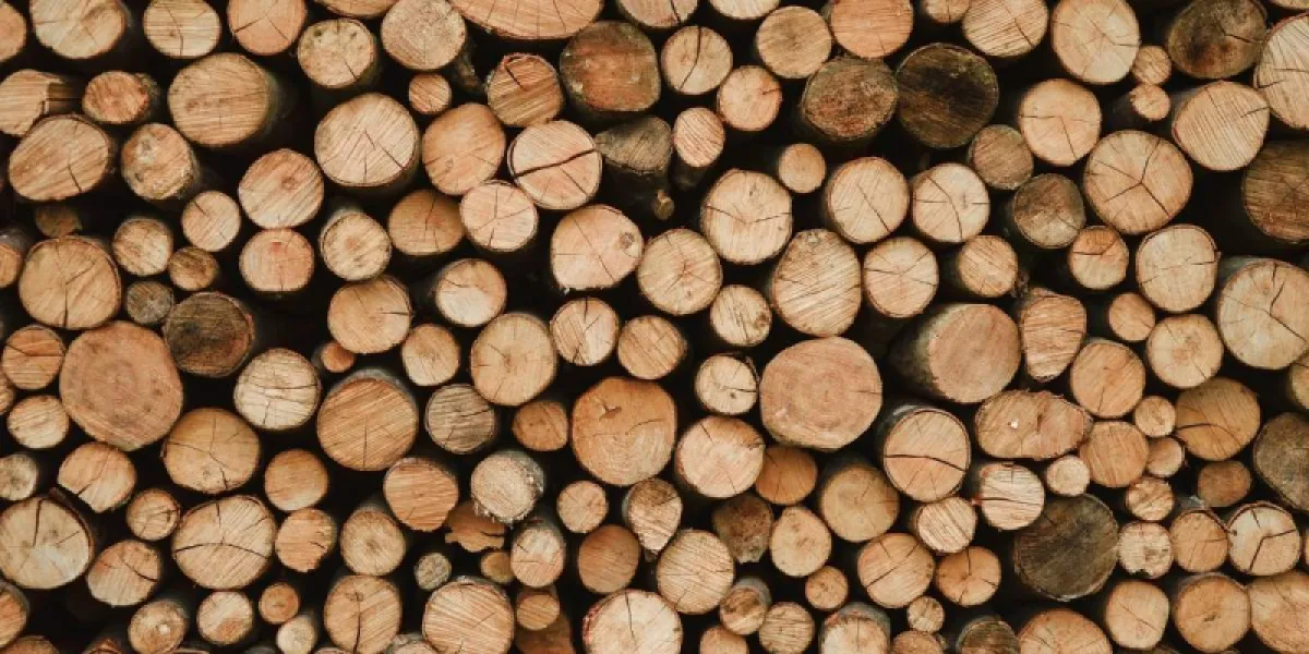 Chauffage au bois : quelles sont les essences à privilégier ?