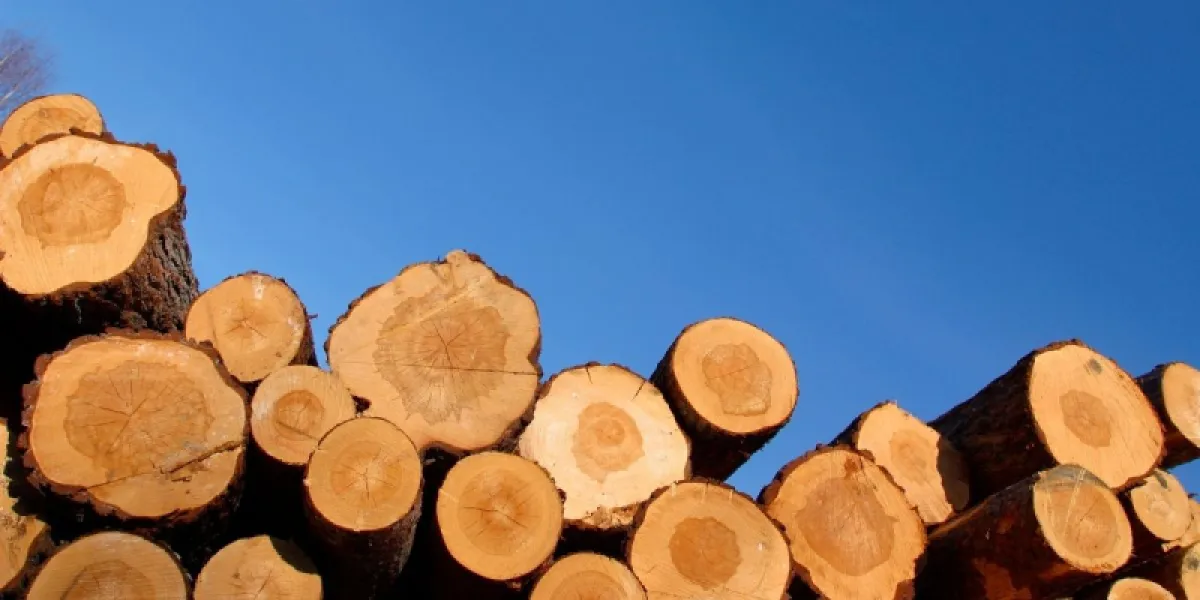 Nouvelle réglementation bois de chauffage : le réseau France Bois Bûche s’adapte