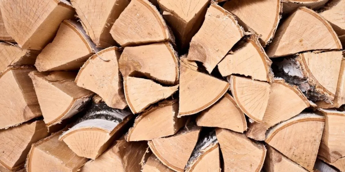 Bois de chauffage : comment reconnaître l’essence livrée ?