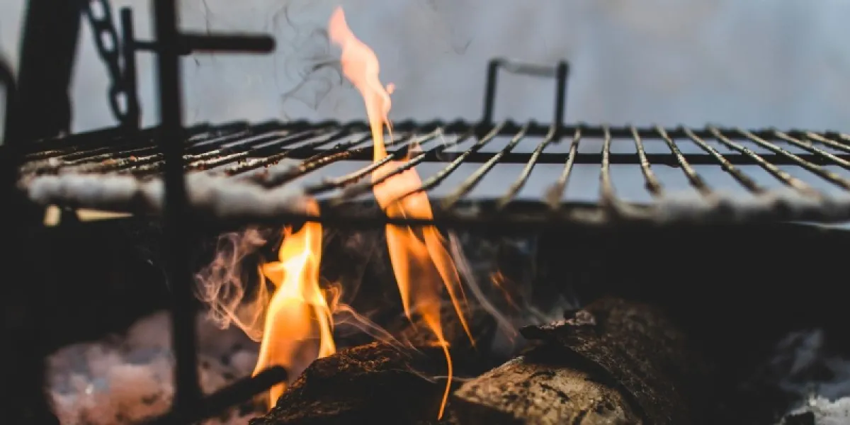 Un barbecue ne s’allume pas avec n’importe quel bois !