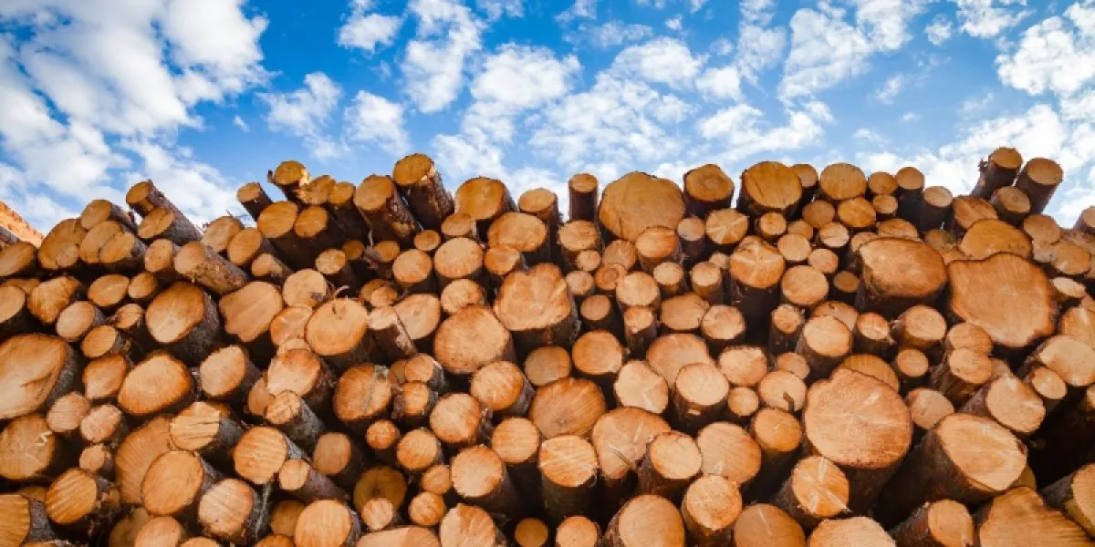 Mesure légale du bois de chauffage : le mètre cube de bois empilé