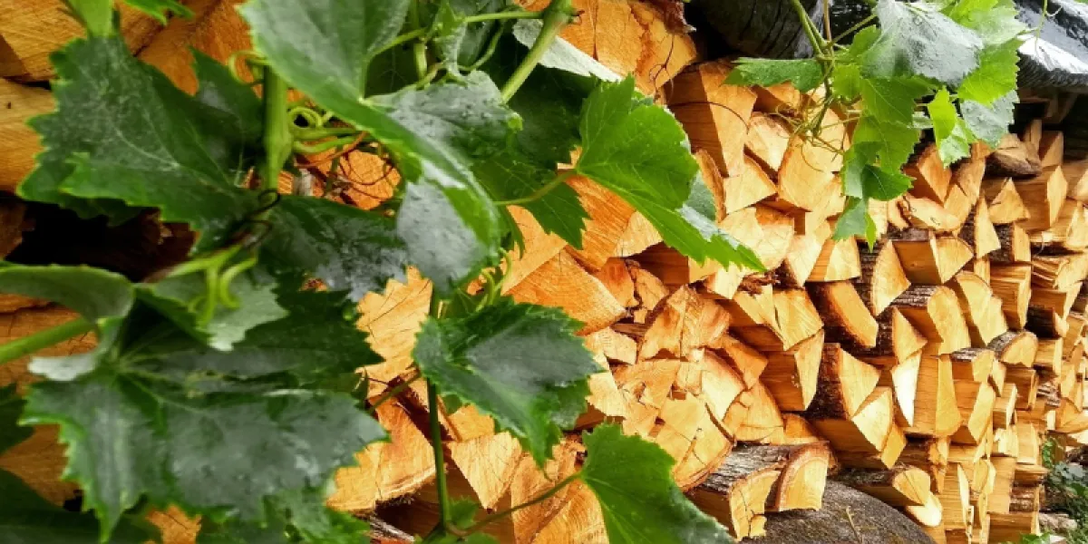 Stockage du bois de chauffage