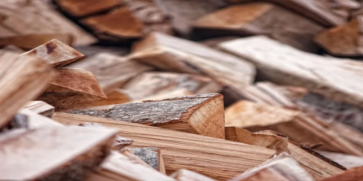 Quel est le meilleur bois de chauffage pour votre maison ?