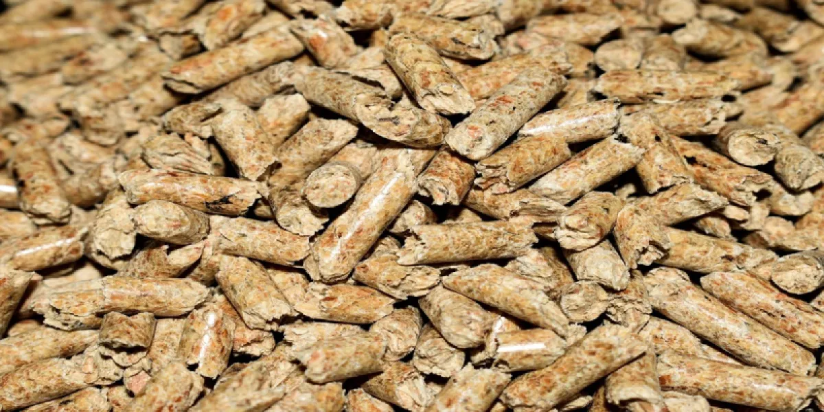 Pellets humides, que faire ?