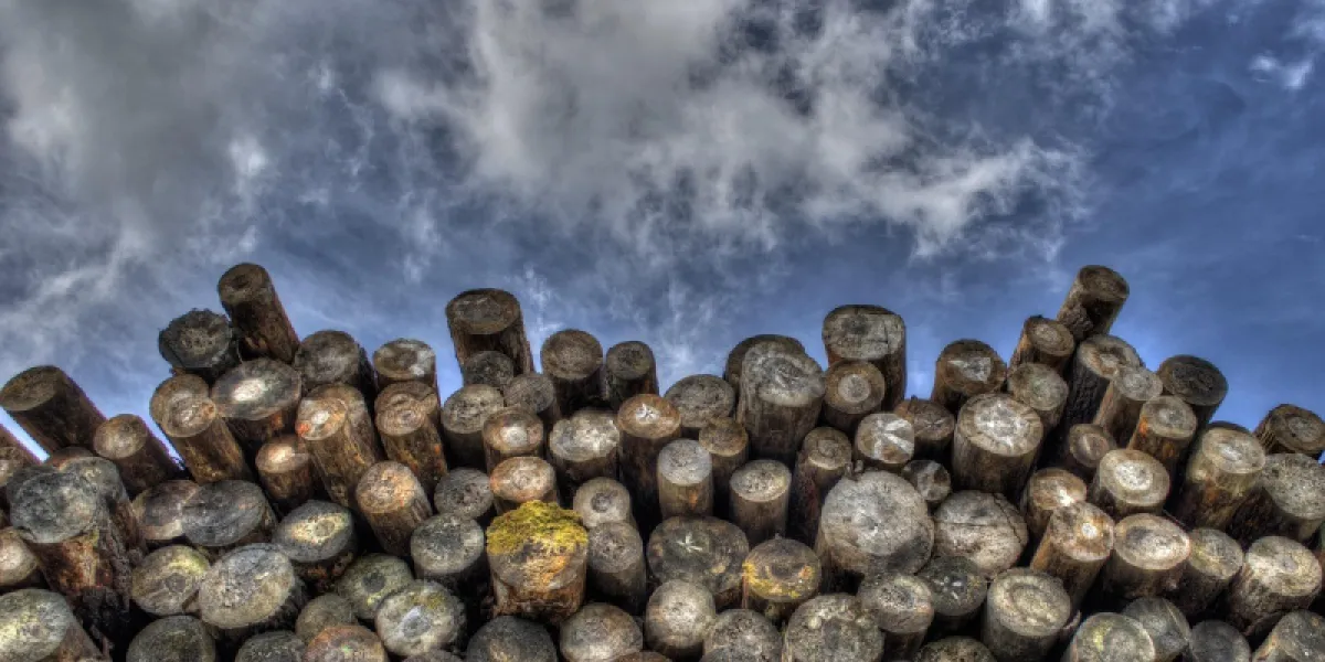 Bois de chauffage qui a pris la pluie : que faire ?