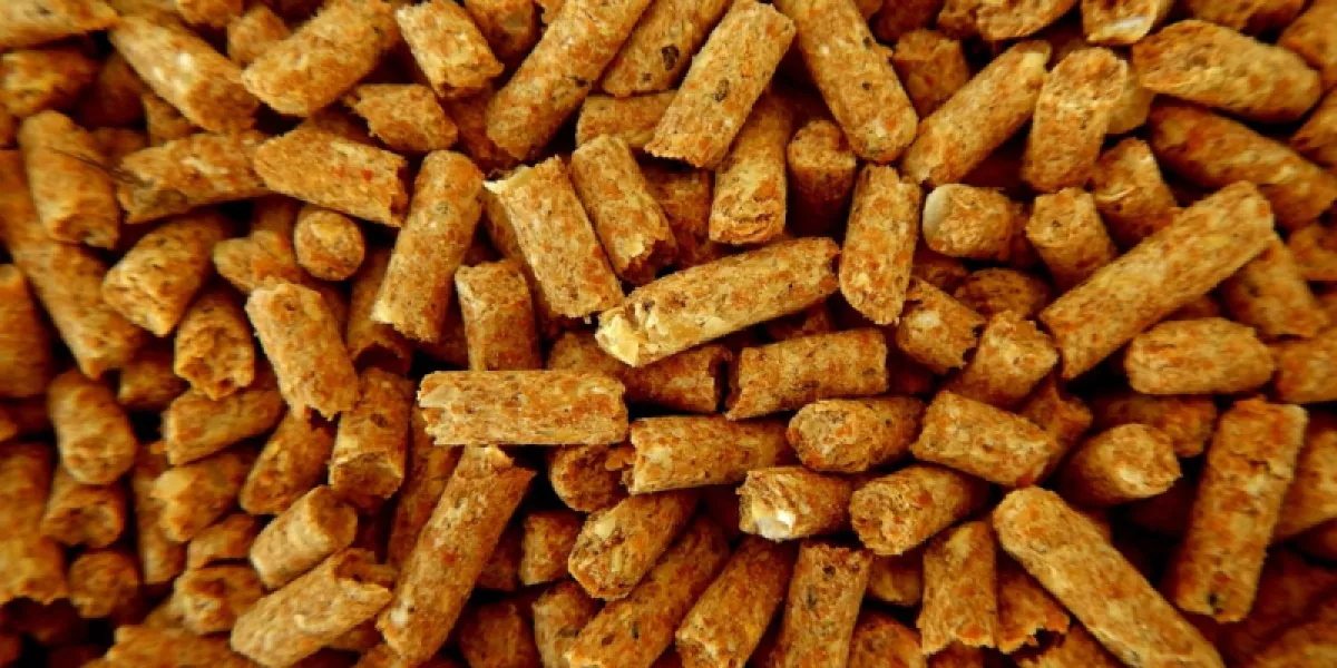 Pouvoir calorifique du pellet : tout ce qu’il faut savoir