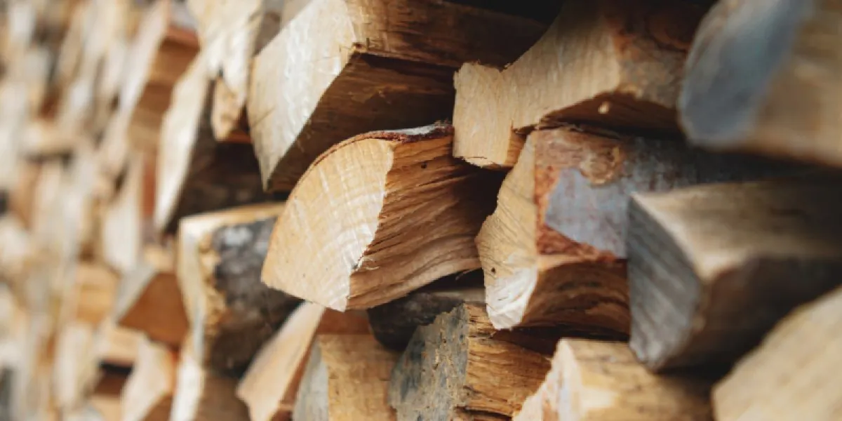 Bois de chauffage : quelle taille pour mes bûches ?