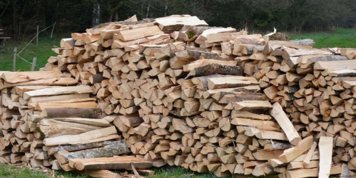 Les arnaques au bois de chauffage : témoignages