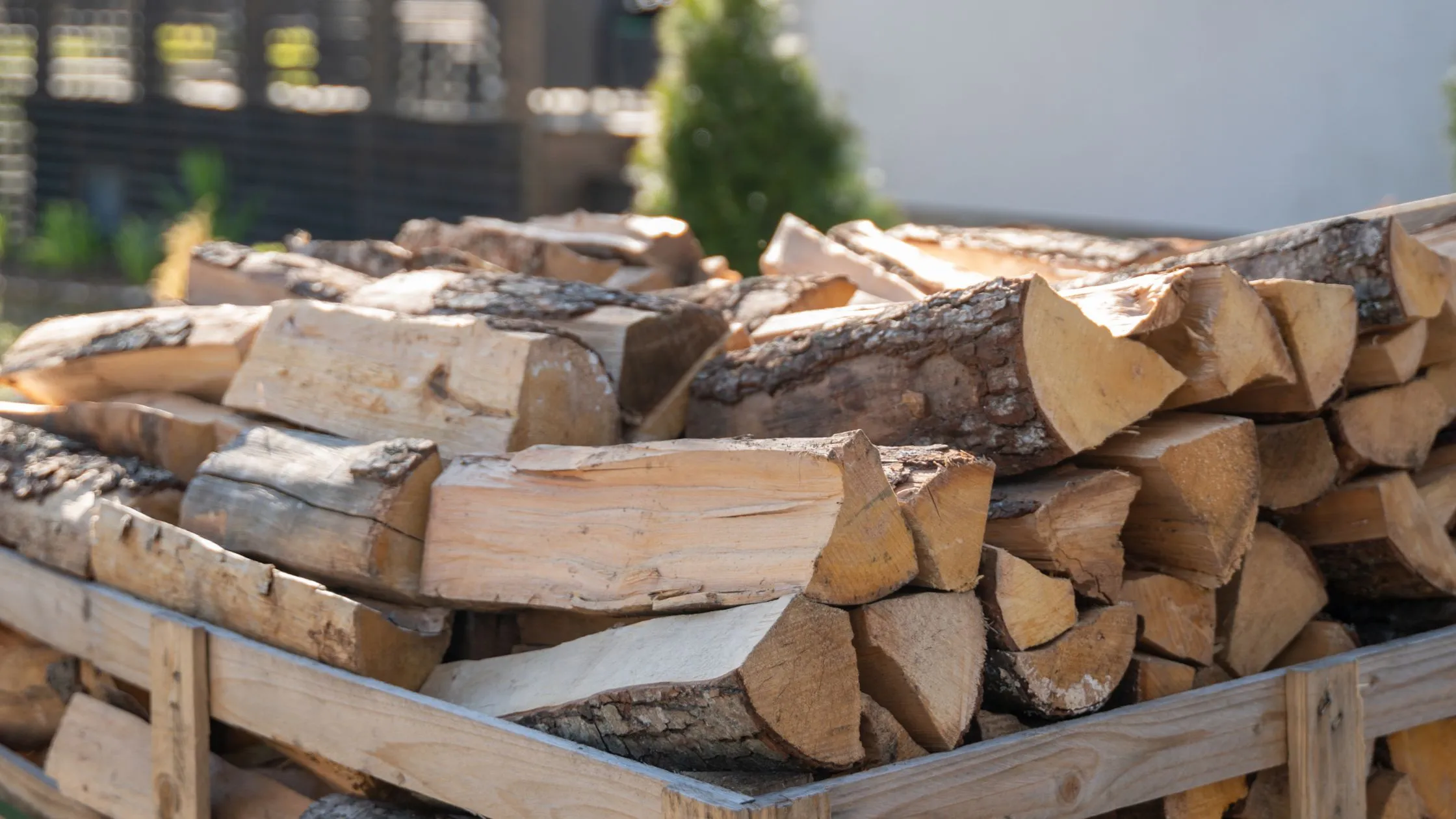 Comment reconnaître un bois de chauffage sec ?