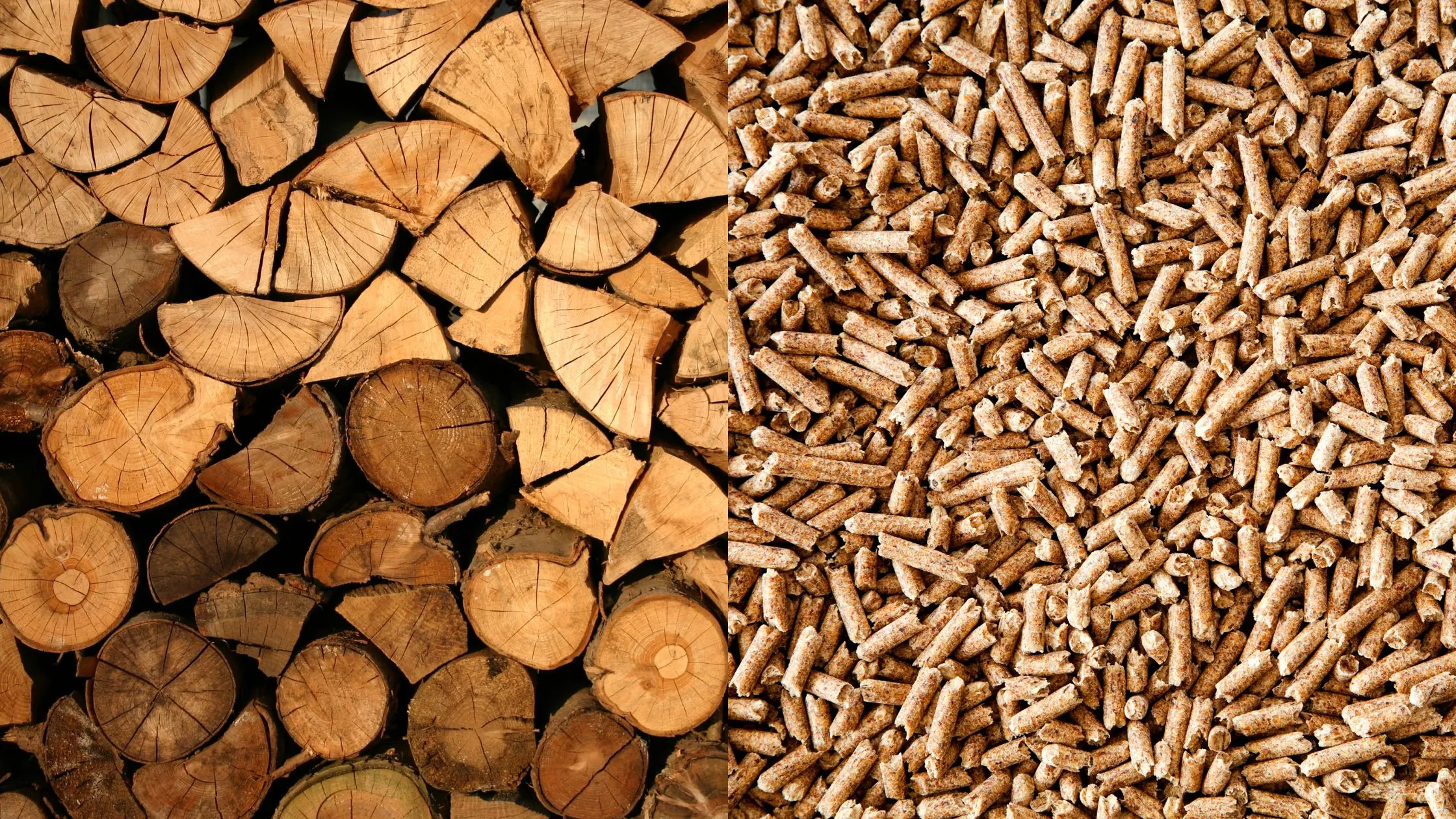 Quel est le meilleur type de bois de chauffage pour se chauffer ?