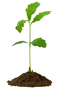 chauffage écologique