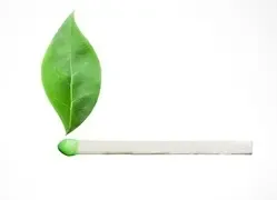 chauffage au bois et pollution