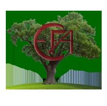 Logo Abazi Florim