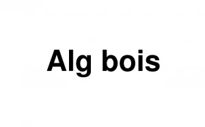 Logo Alg Bois