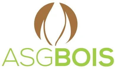 Logo ASG Bois