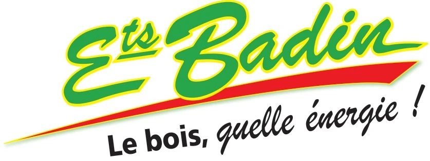 Logo Badin Bois 01