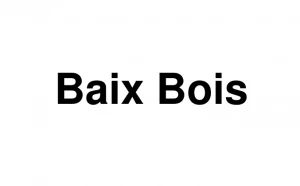Logo Baix Bois