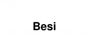 Logo Besi