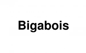 Logo Bigabois