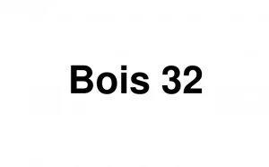 Logo Bois 32