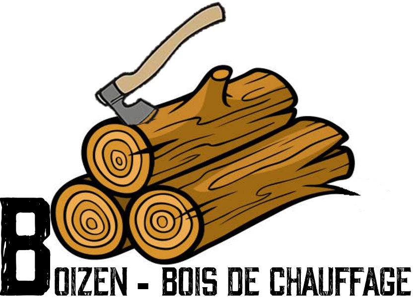 Logo Boizen