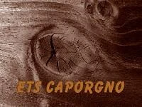 Logo Canonne