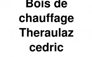 Logo Cédric Theraulaz