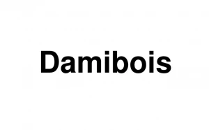 Logo Damibois