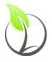 Logo D'Coupe Bois