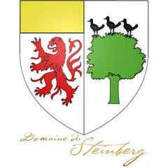Logo Domaine du Steinberg