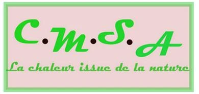 Logo Ets Cmsa