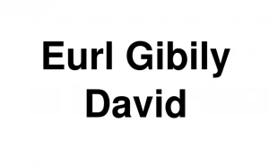 Logo Eurl Gibily David