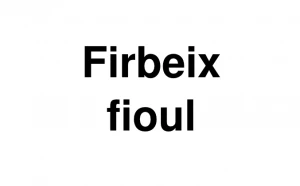 Logo Firbeix Fioul