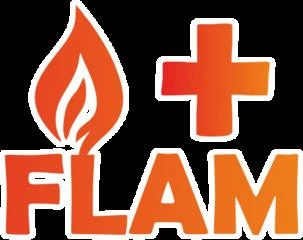 Logo Flam