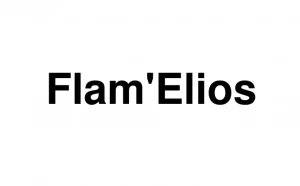 Logo Flam'Elios