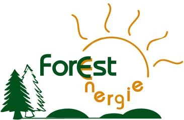 Logo Forest Energie