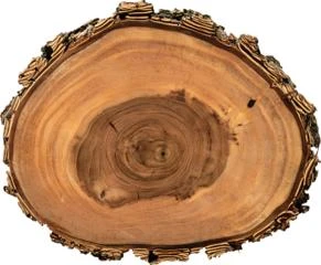 Logo Forestale