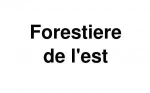 Logo Forestiere de L'Est