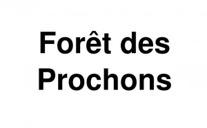 Logo Forêt des Prochons