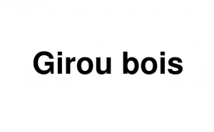 Logo Girou Bois
