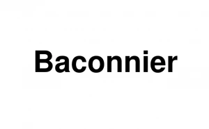 Logo Jean Michel Baconnier