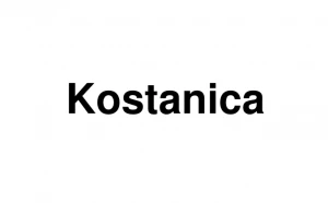 Logo Kostanica