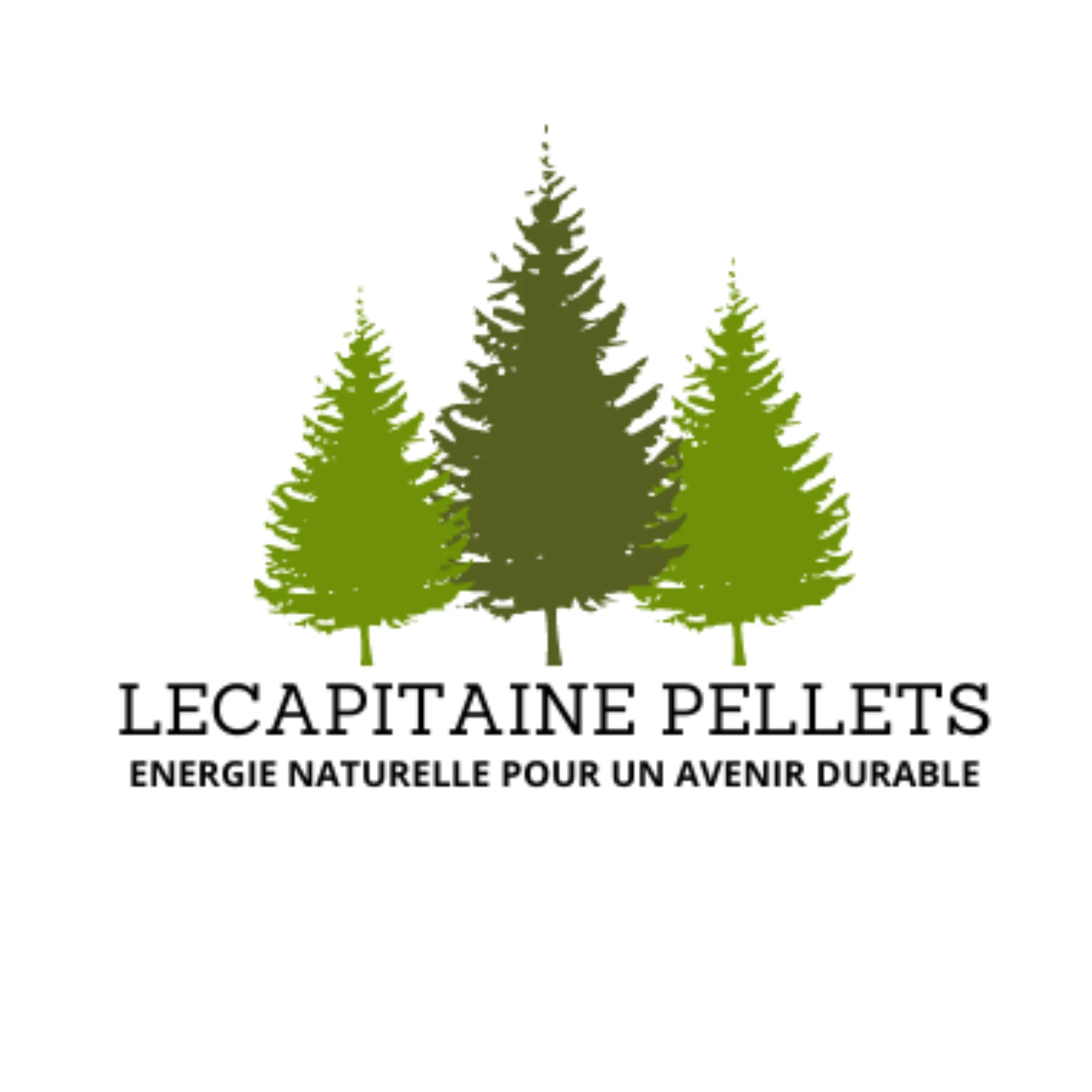 Logo LECAPITAINE SA