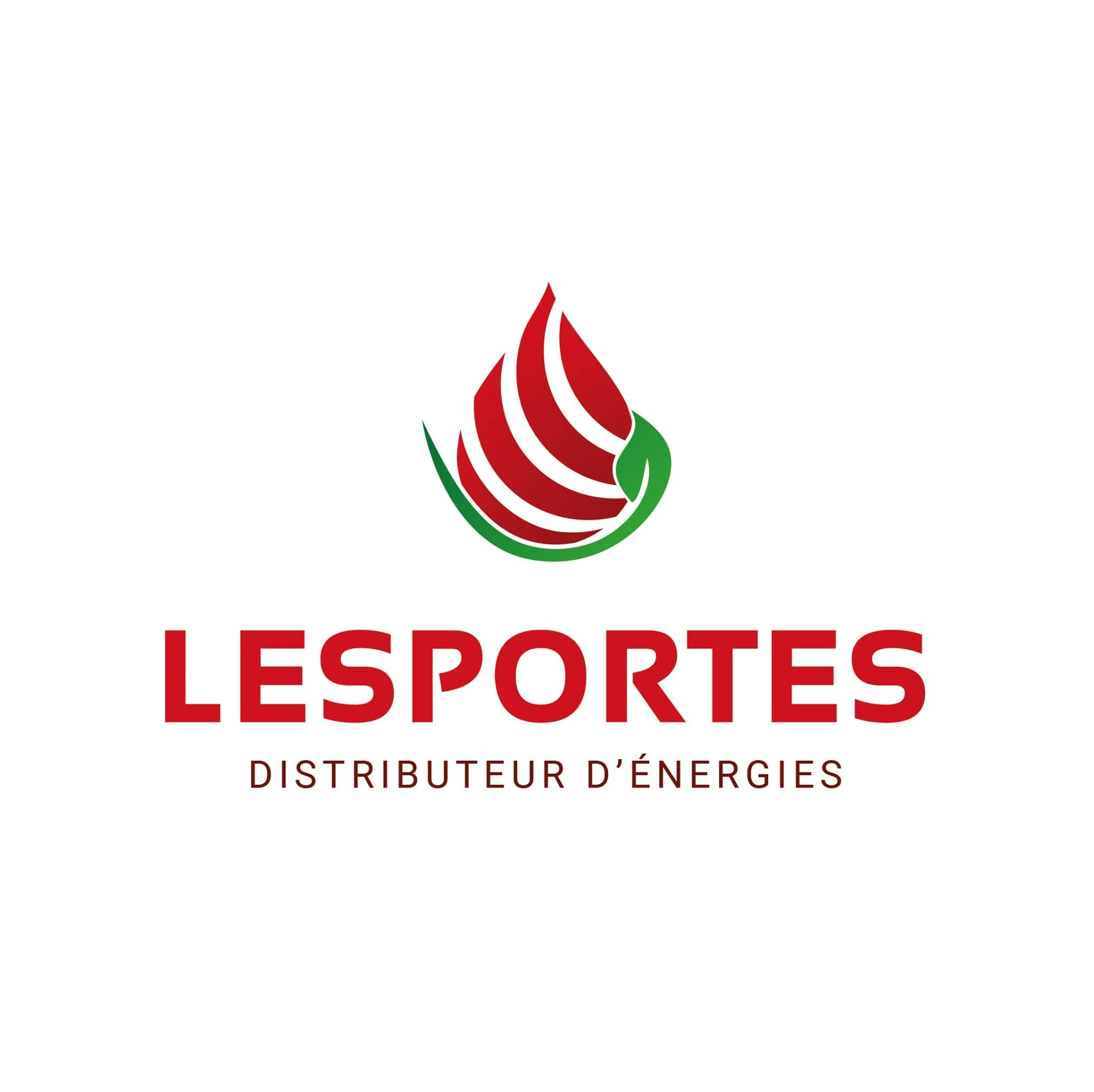 Logo LESPORTES ET FILS SAS