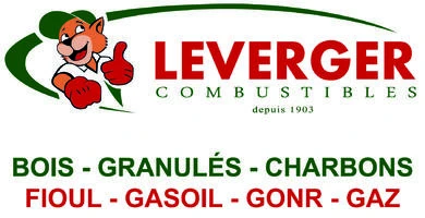 Logo Leverger