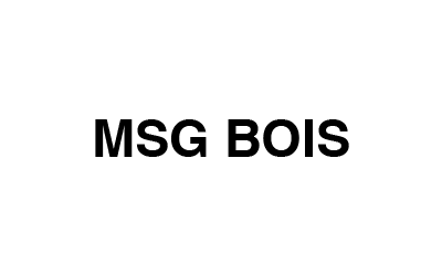 Logo MSG BOIS