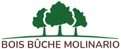 Logo Bois Bûche Molinario