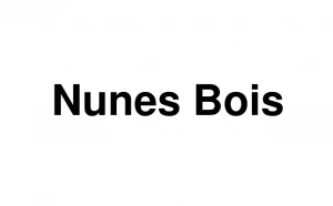 Logo Nunes