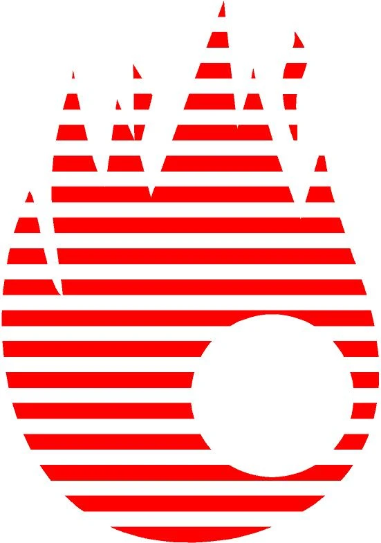 Logo PAUTE COMBUSTIBLES